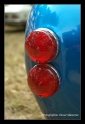 Cobra replica-5.png